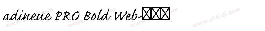 adineue PRO Bold Web字体转换